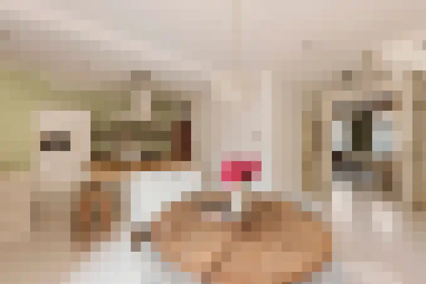 Eerste Jacob van Campenstraat 54 1 Amsterdam thumbnail 20