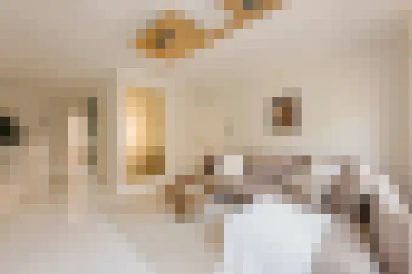 Eerste Jacob van Campenstraat 54 1 Amsterdam thumbnail 24