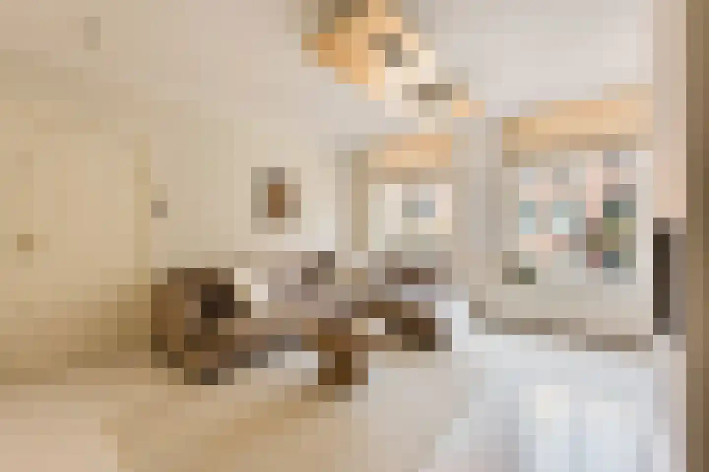 Eerste Jacob van Campenstraat 54 1 Amsterdam thumbnail 25