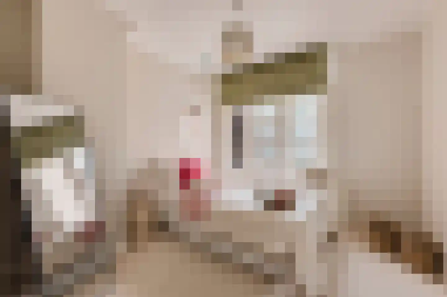 Eerste Jacob van Campenstraat 54 1 Amsterdam thumbnail 30