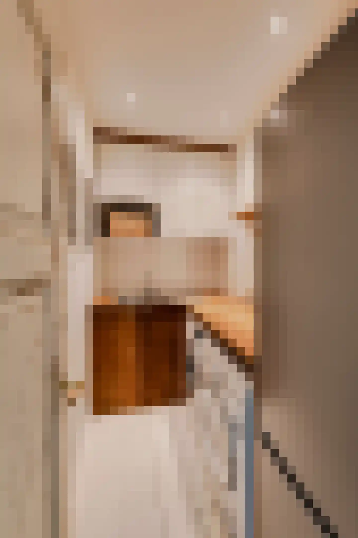 Eerste Jacob van Campenstraat 54 1 Amsterdam thumbnail 32