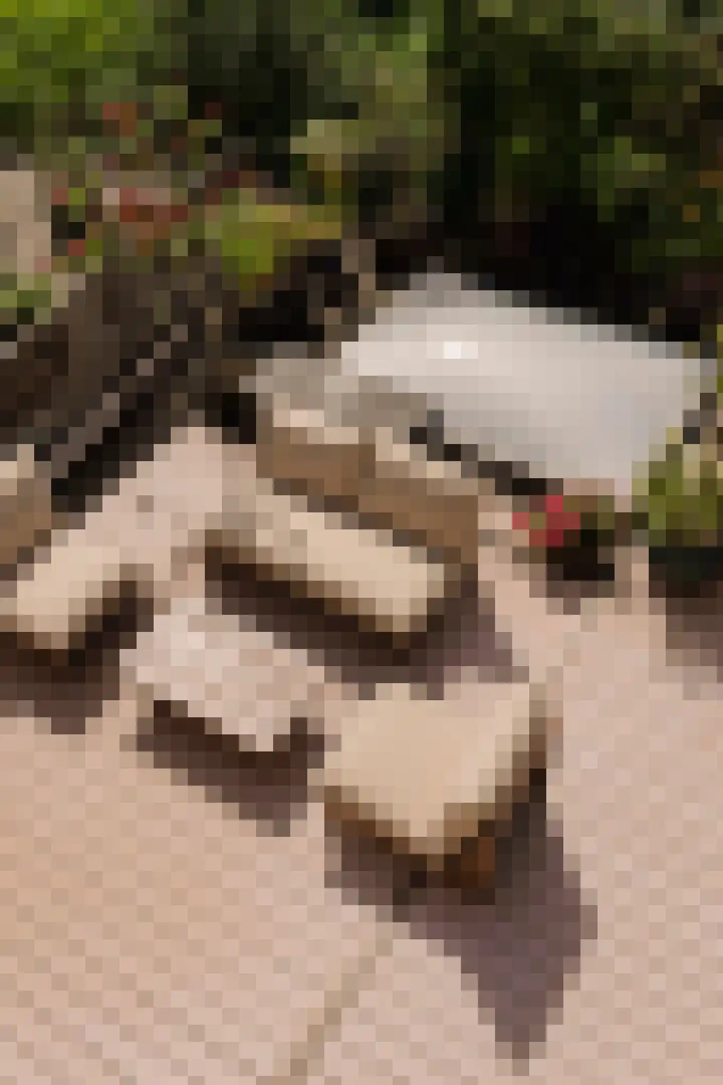 Eerste Jacob van Campenstraat 54 1 Amsterdam thumbnail 38
