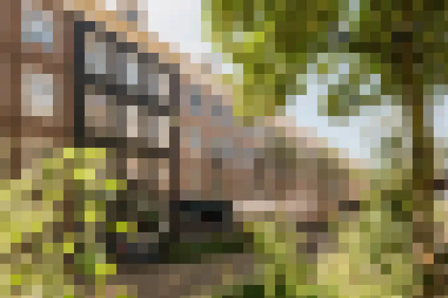 Eerste Jacob van Campenstraat 54 1 Amsterdam thumbnail 39