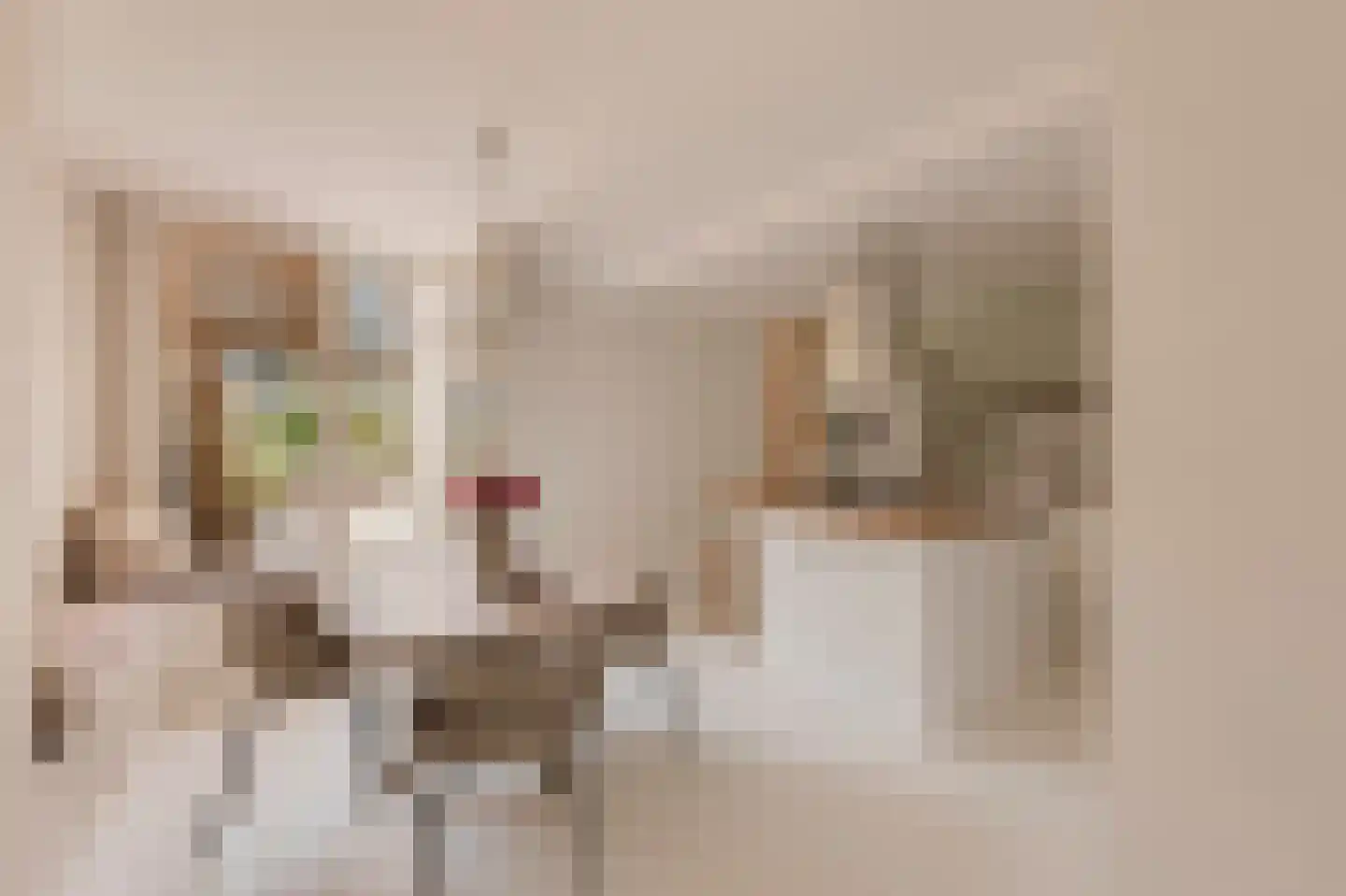 Eerste Jacob van Campenstraat 54 1 Amsterdam thumbnail 8