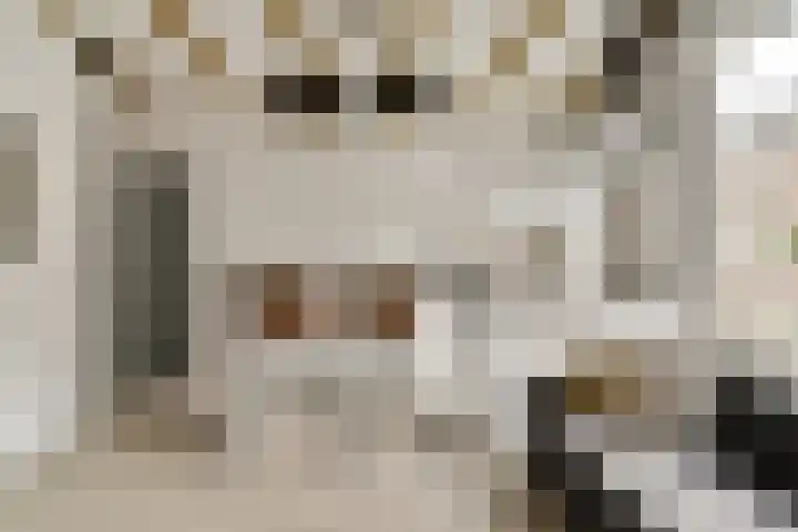 Eerste Jan Steenstraat 101 4A Amsterdam