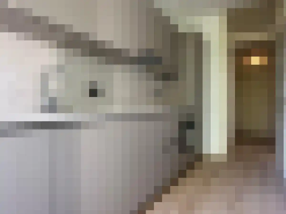 Eerste Jan Steenstraat 106 Amsterdam thumbnail 5