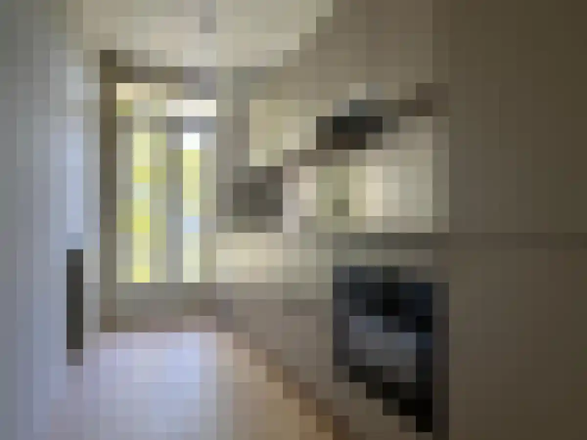 Eerste Jan Steenstraat 106 Amsterdam thumbnail 6