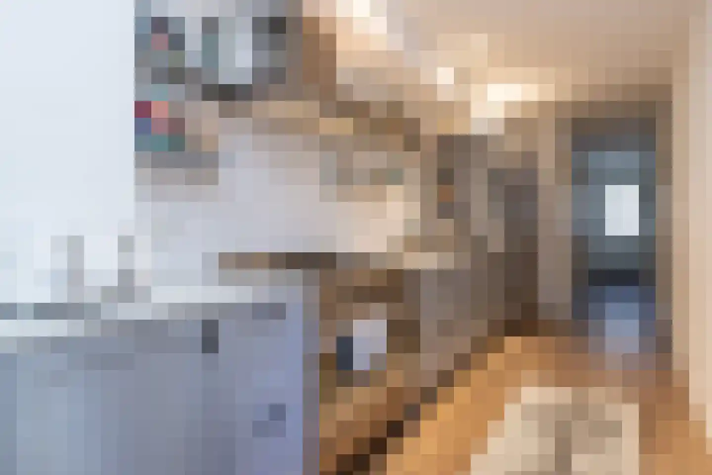 Eerste Jan Steenstraat 112 H Amsterdam thumbnail 12