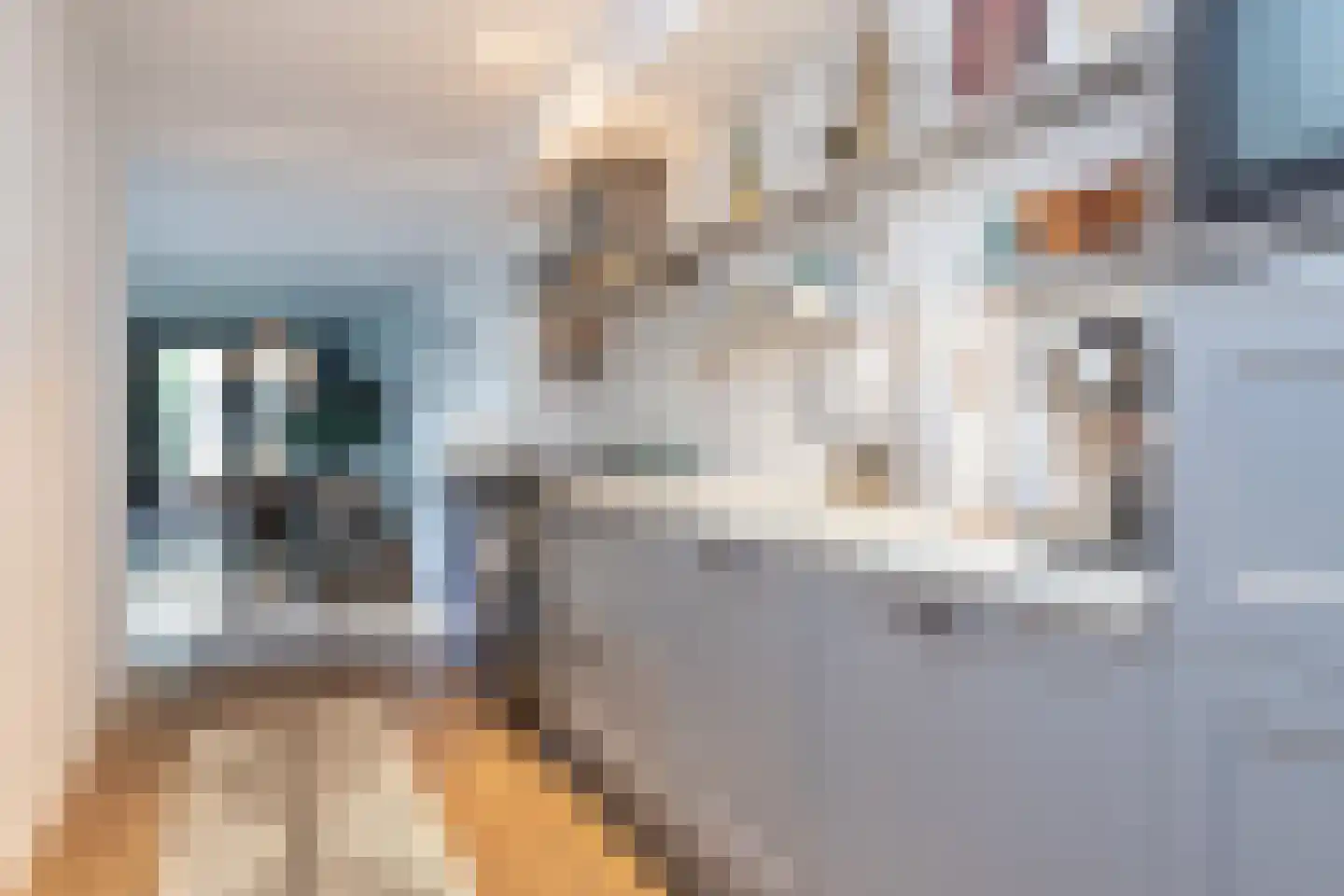Eerste Jan Steenstraat 112 H Amsterdam thumbnail 13