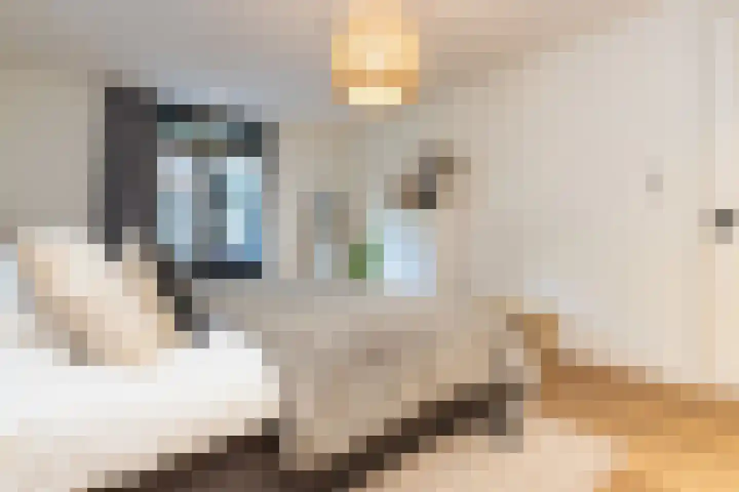 Eerste Jan Steenstraat 112 H Amsterdam thumbnail 17