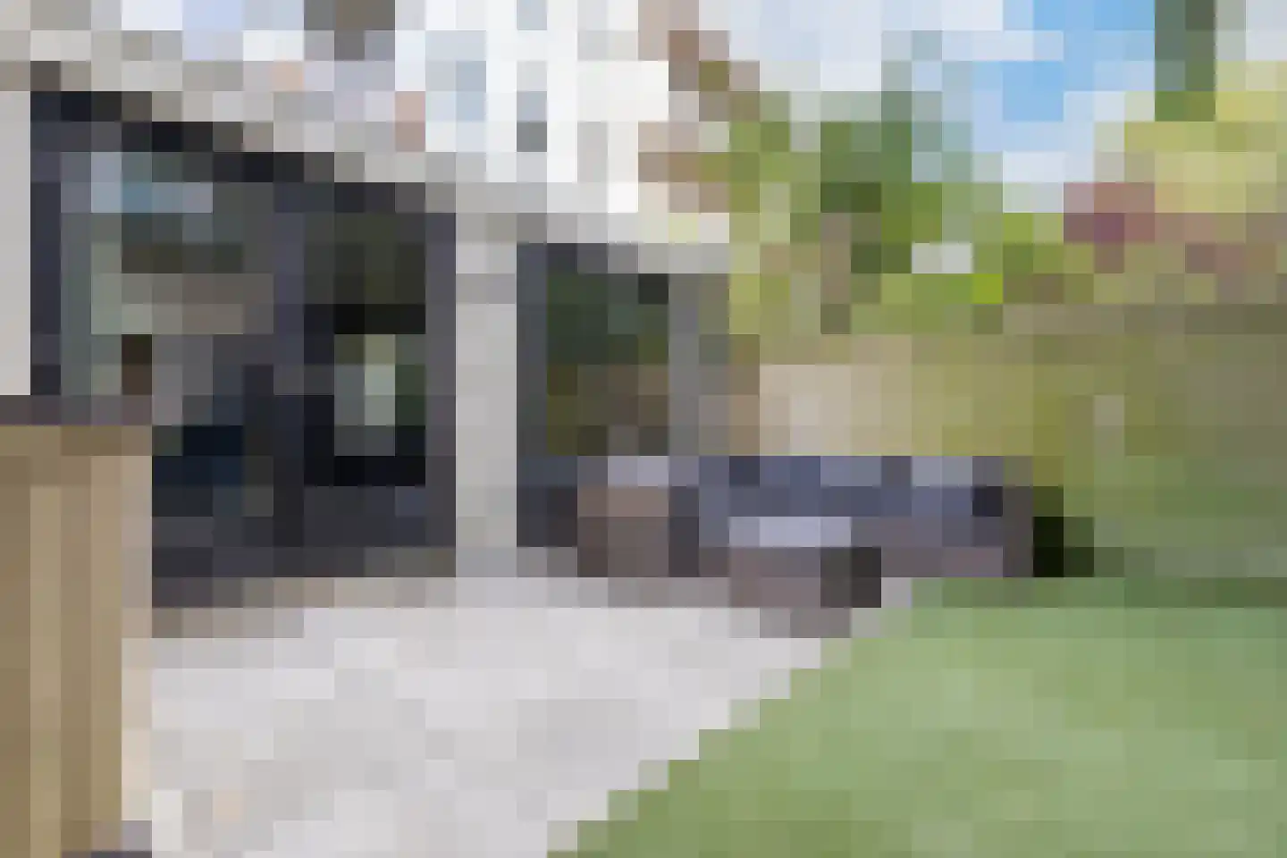 Eerste Jan Steenstraat 112 H Amsterdam thumbnail 31