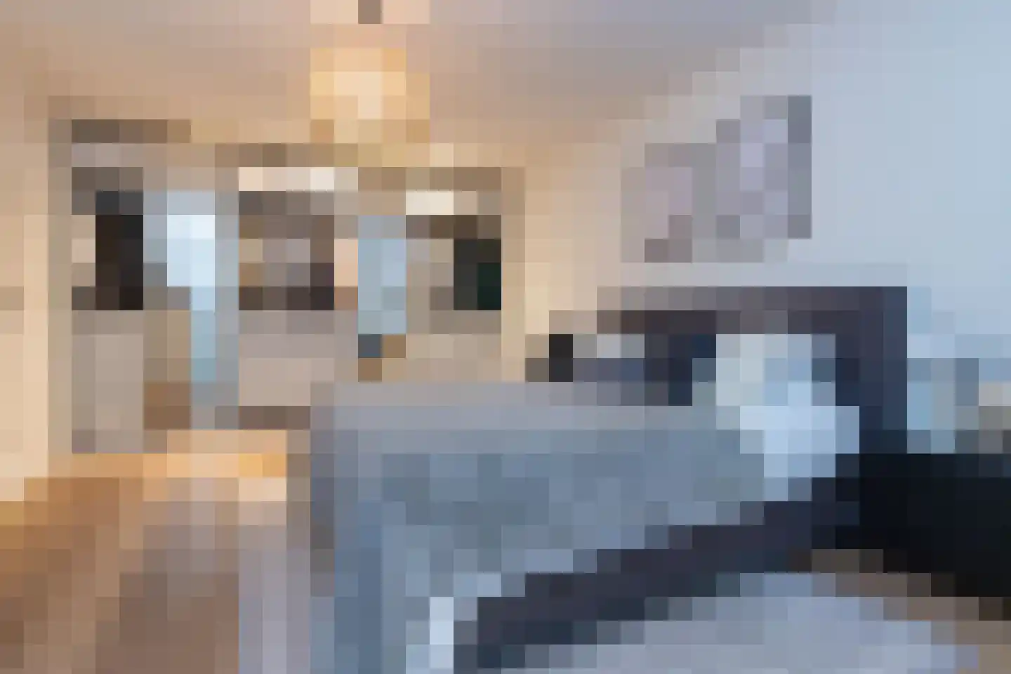 Eerste Jan Steenstraat 112 H Amsterdam thumbnail 5