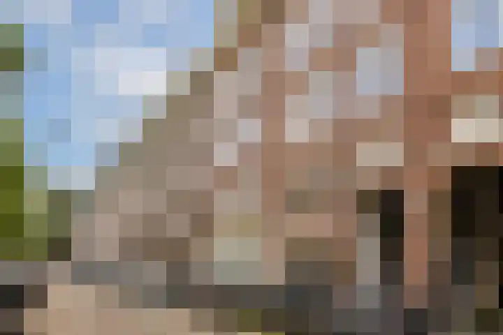 Eerste Jan Steenstraat 118 3 Amsterdam thumbnail 21