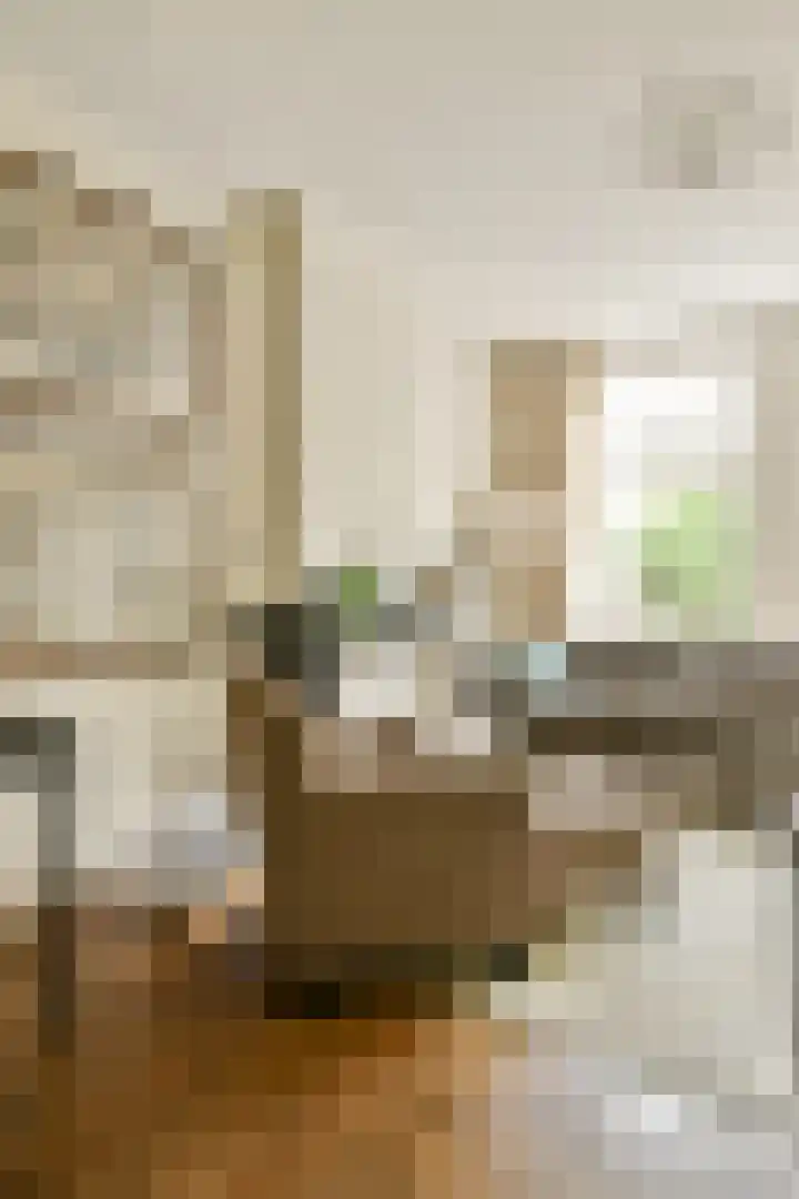 Eerste Jan Steenstraat 118 3 Amsterdam thumbnail 6