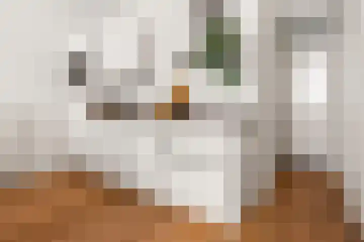 Eerste Jan Steenstraat 125 3 Amsterdam thumbnail 11
