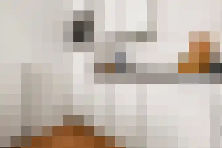 Eerste Jan Steenstraat 125 3 Amsterdam thumbnail 12