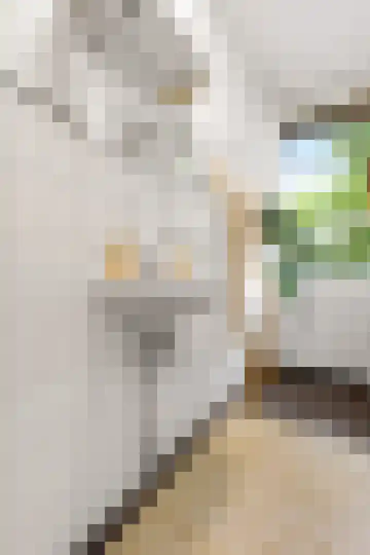 Eerste Jan Steenstraat 125 3 Amsterdam thumbnail 19