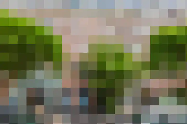 Eerste Jan Steenstraat 125 3 Amsterdam thumbnail 25