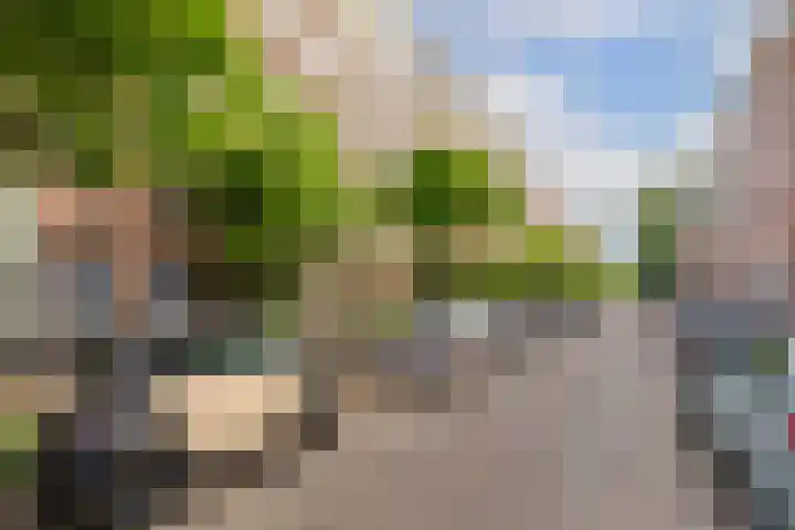 Eerste Jan Steenstraat 125 3 Amsterdam thumbnail 27