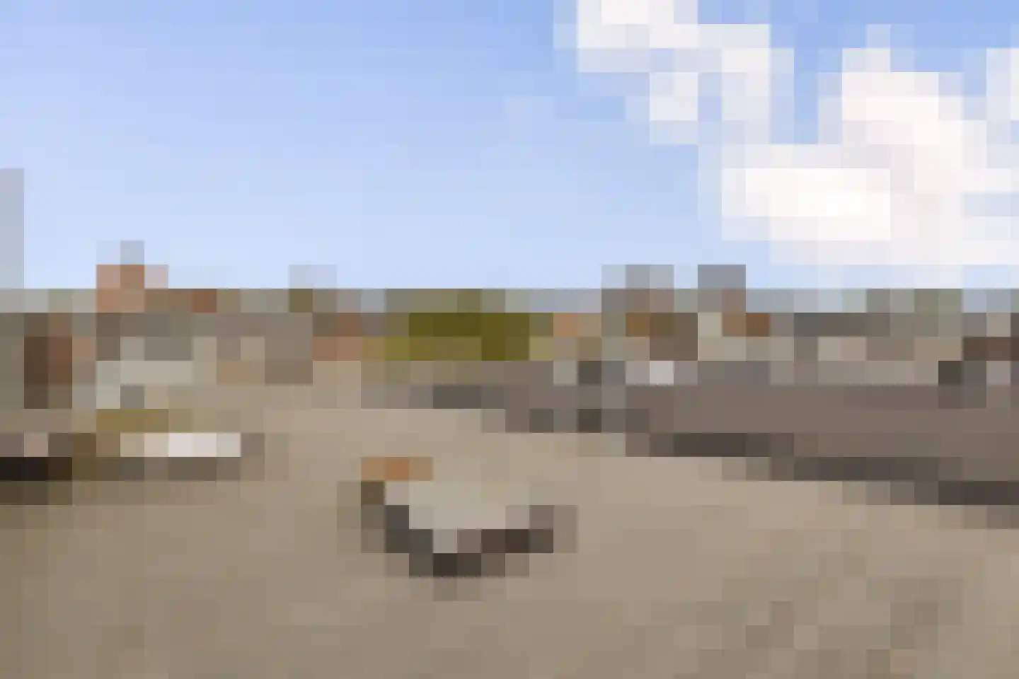 Eerste Jan Steenstraat 125 3 Amsterdam thumbnail 28