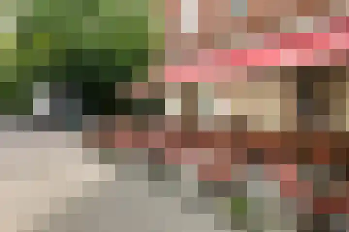 Eerste Jan Steenstraat 125 3 Amsterdam thumbnail 28
