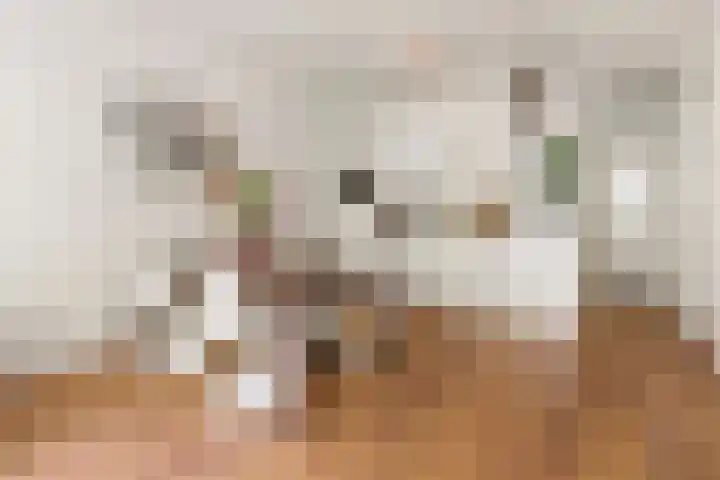 Eerste Jan Steenstraat 125 3 Amsterdam thumbnail 7