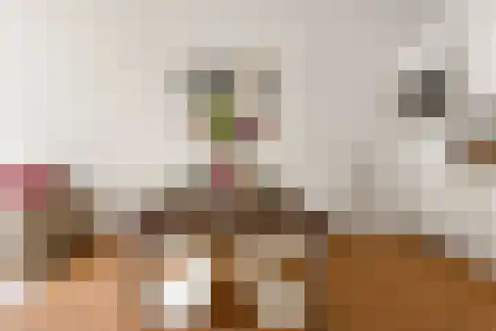 Eerste Jan Steenstraat 125 3 Amsterdam thumbnail 8
