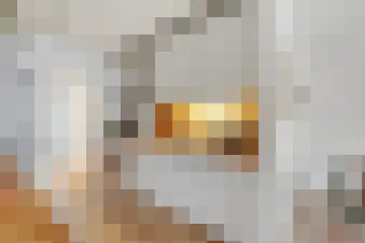 Eerste Jan Steenstraat 133 1 Amsterdam thumbnail 10