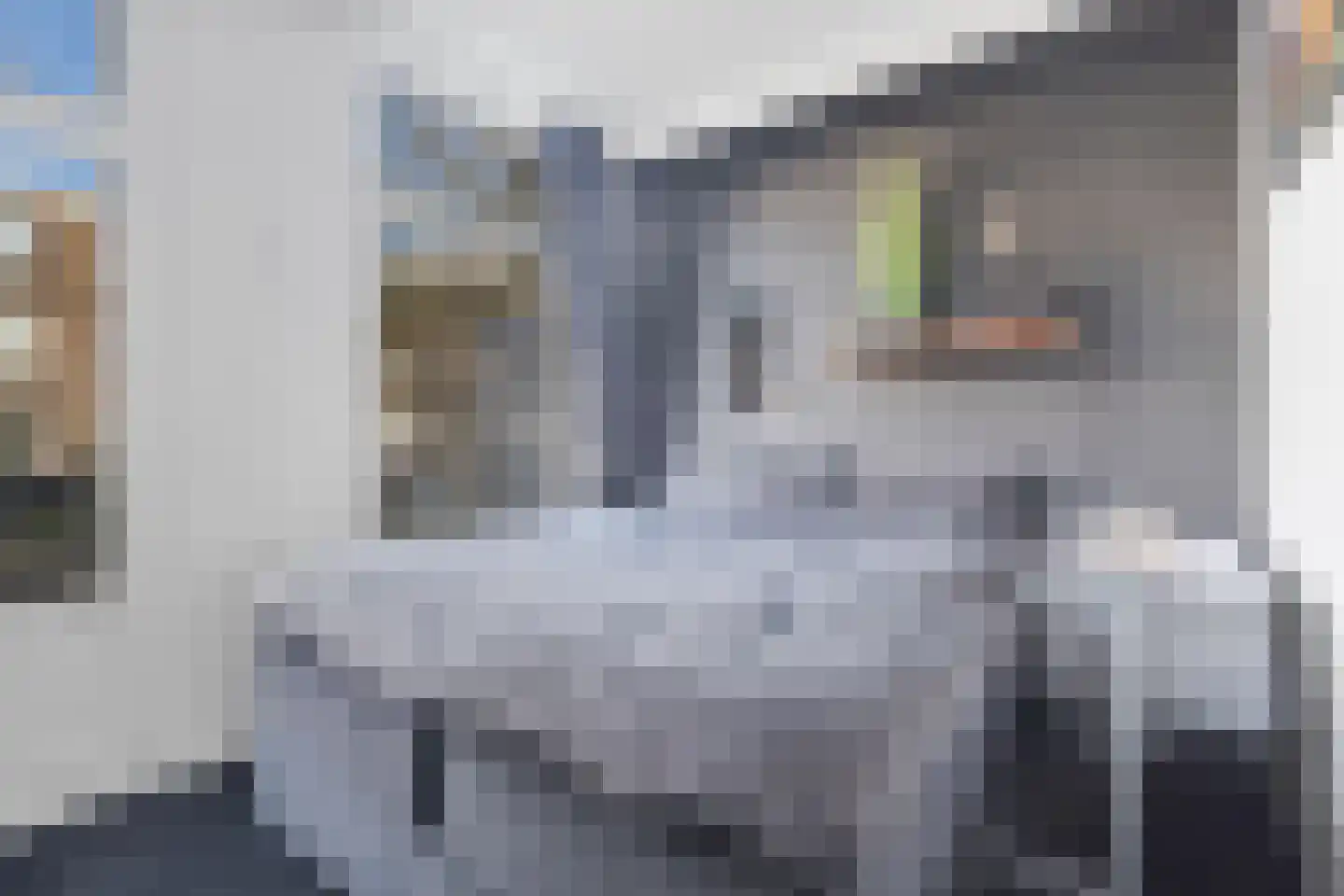 Eerste Jan Steenstraat 133 1 Amsterdam thumbnail 14