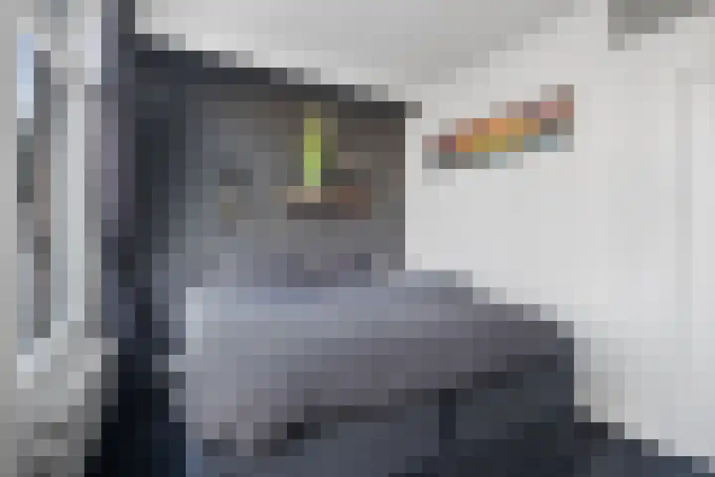Eerste Jan Steenstraat 133 1 Amsterdam thumbnail 16