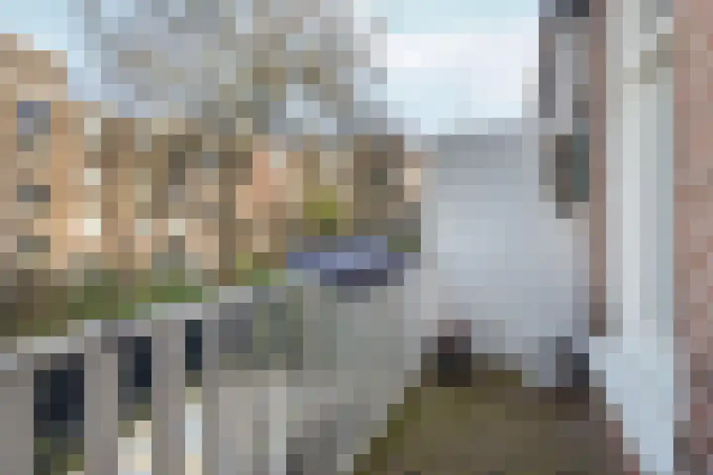 Eerste Jan Steenstraat 133 1 Amsterdam thumbnail 17