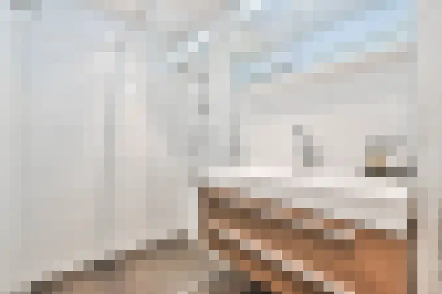 Eerste Jan Steenstraat 15 1 Amsterdam thumbnail 13