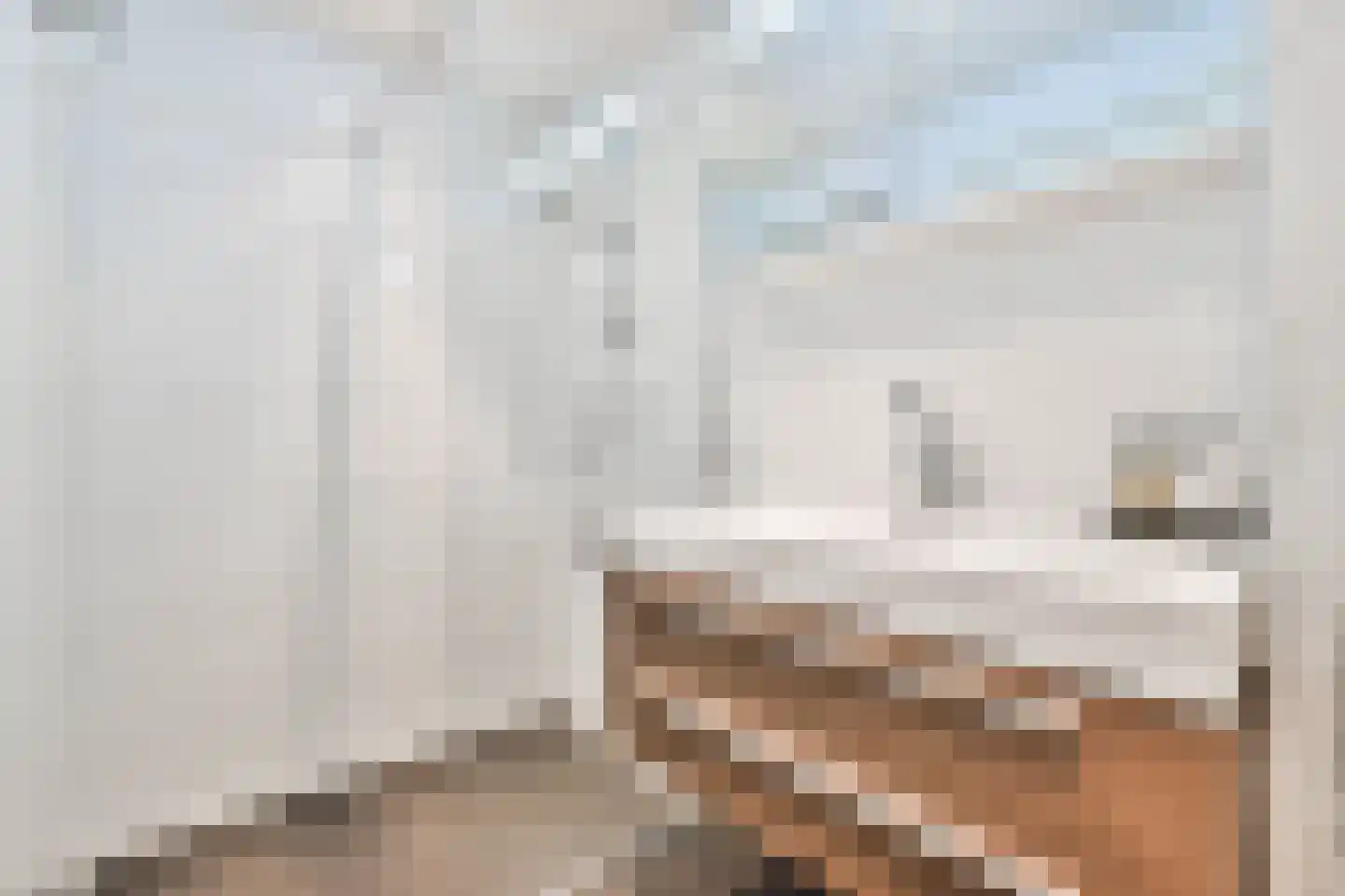 Eerste Jan Steenstraat 15 1 Amsterdam thumbnail 15