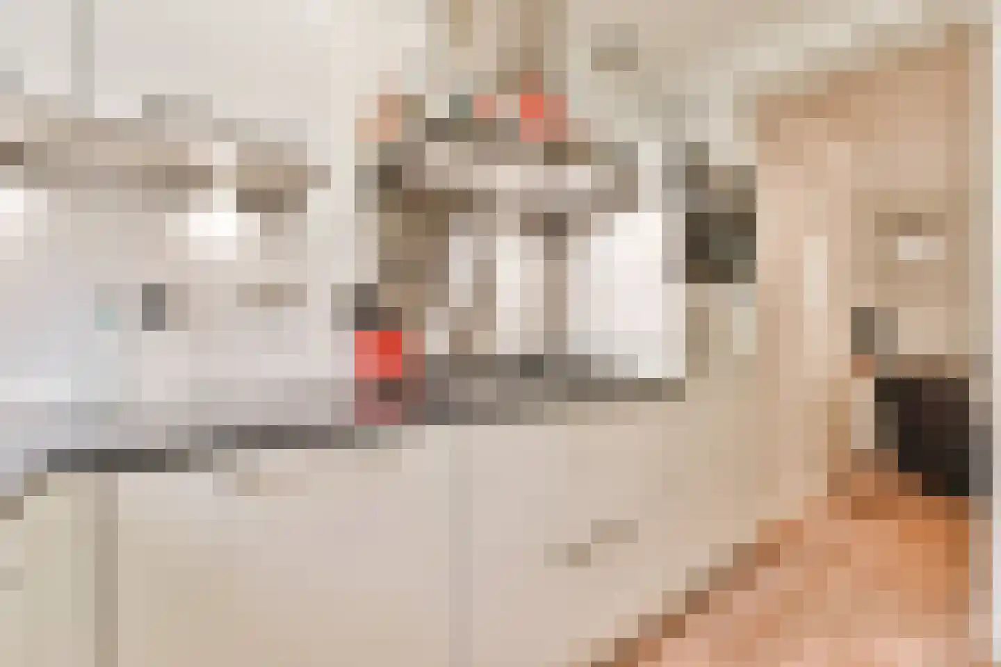 Eerste Jan Steenstraat 15 1 Amsterdam thumbnail 8