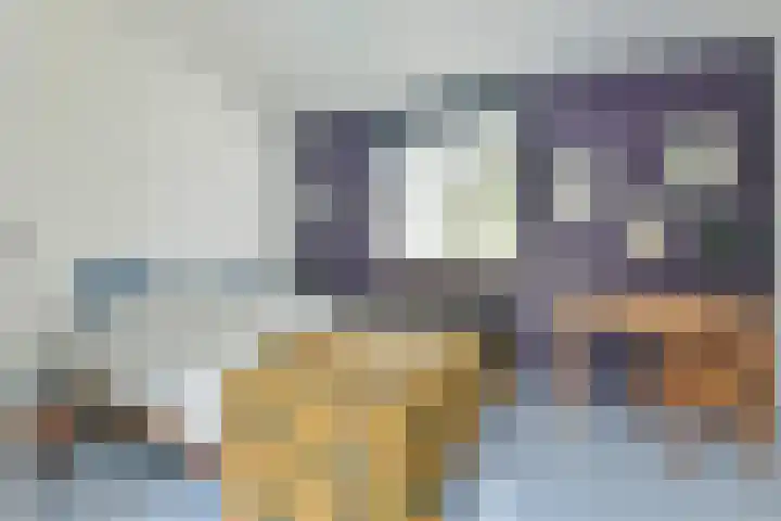 Eerste Jan Steenstraat 47 E Amsterdam thumbnail 13