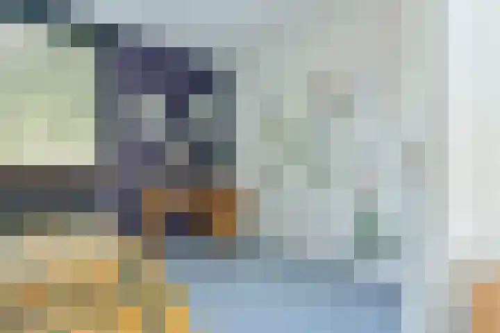 Eerste Jan Steenstraat 47 E Amsterdam thumbnail 14