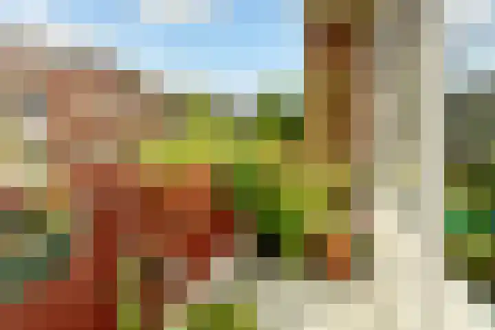 Eerste Jan Steenstraat 47 E Amsterdam thumbnail 16