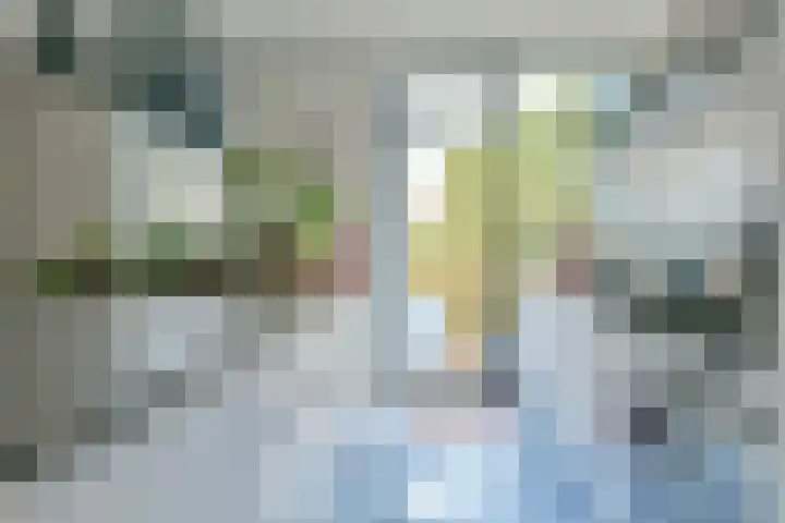 Eerste Jan Steenstraat 47 E Amsterdam thumbnail 5