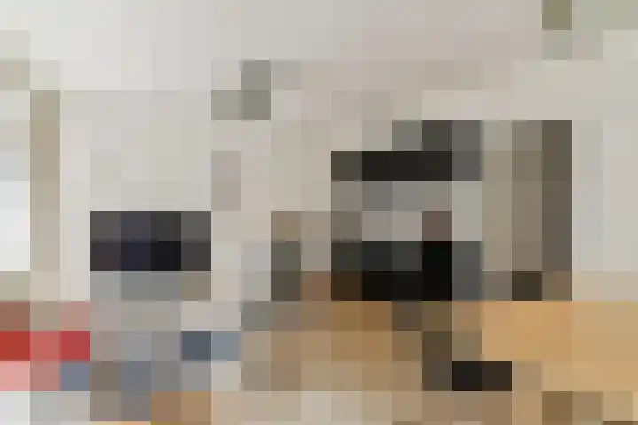 Eerste Jan Steenstraat 57 Amsterdam thumbnail 4