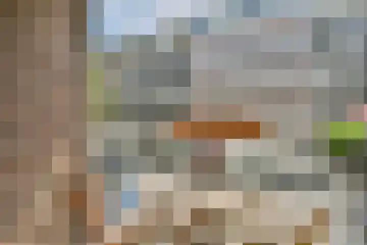 Eerste Jan Steenstraat 57 Amsterdam thumbnail 8
