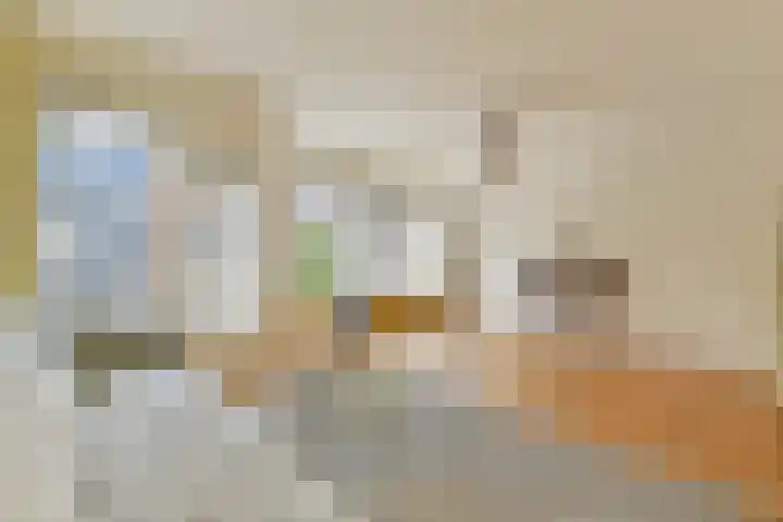 Eerste Jan Steenstraat 67 Amsterdam thumbnail 13