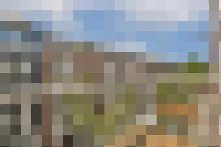 Eerste Jan Steenstraat 67 Amsterdam thumbnail 16
