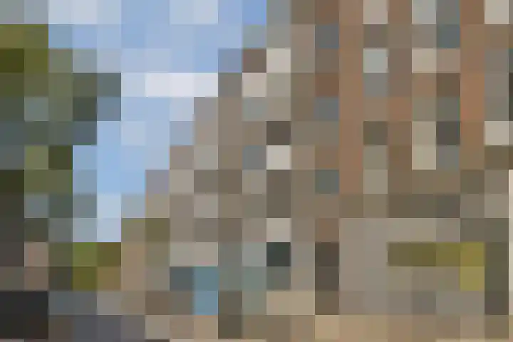 Eerste Jan Steenstraat 67 Amsterdam thumbnail 23