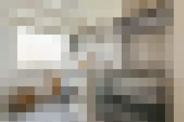 Eerste Jan Steenstraat 67 Amsterdam thumbnail 9