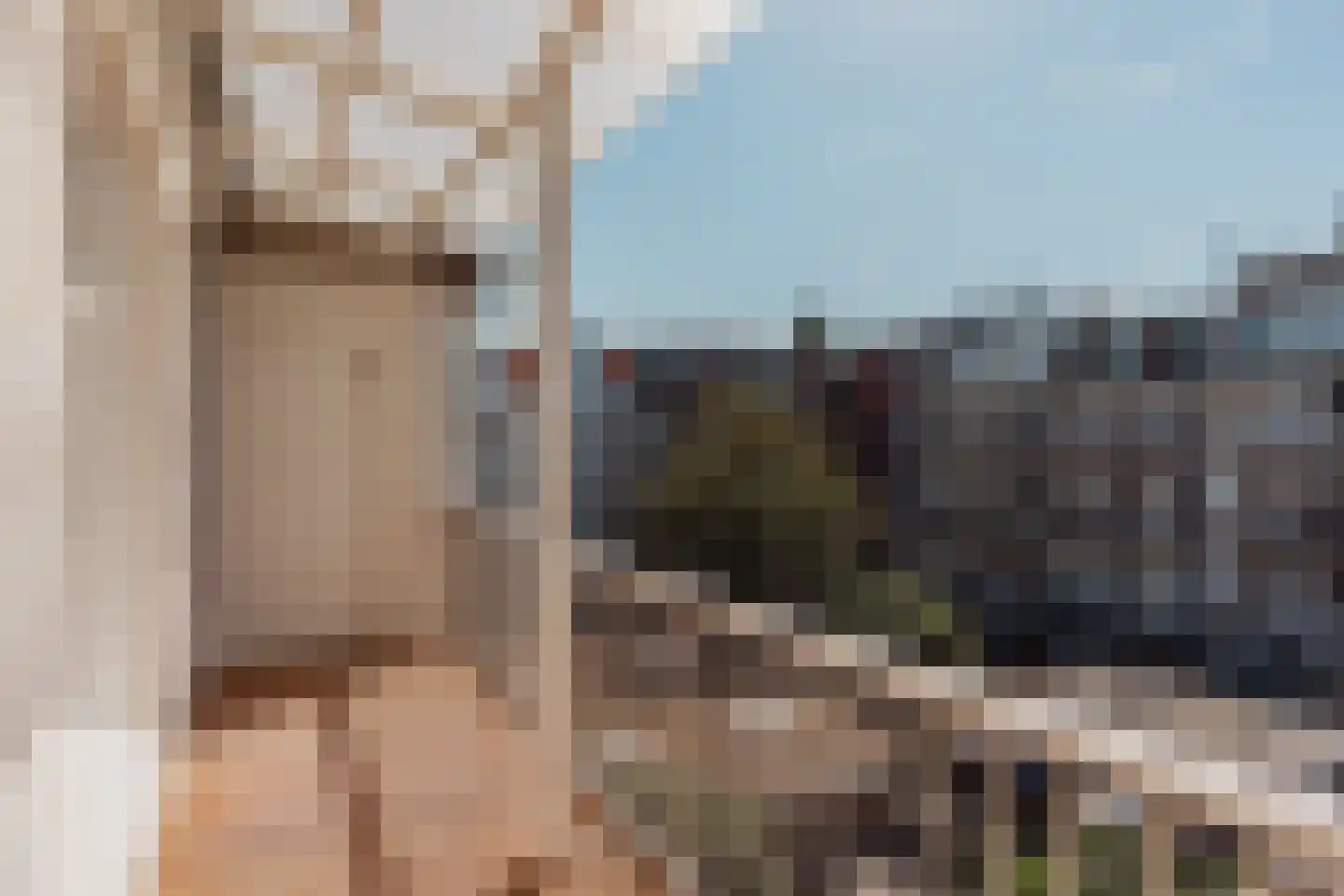 Eerste Jan Steenstraat 68 3 Amsterdam thumbnail 25