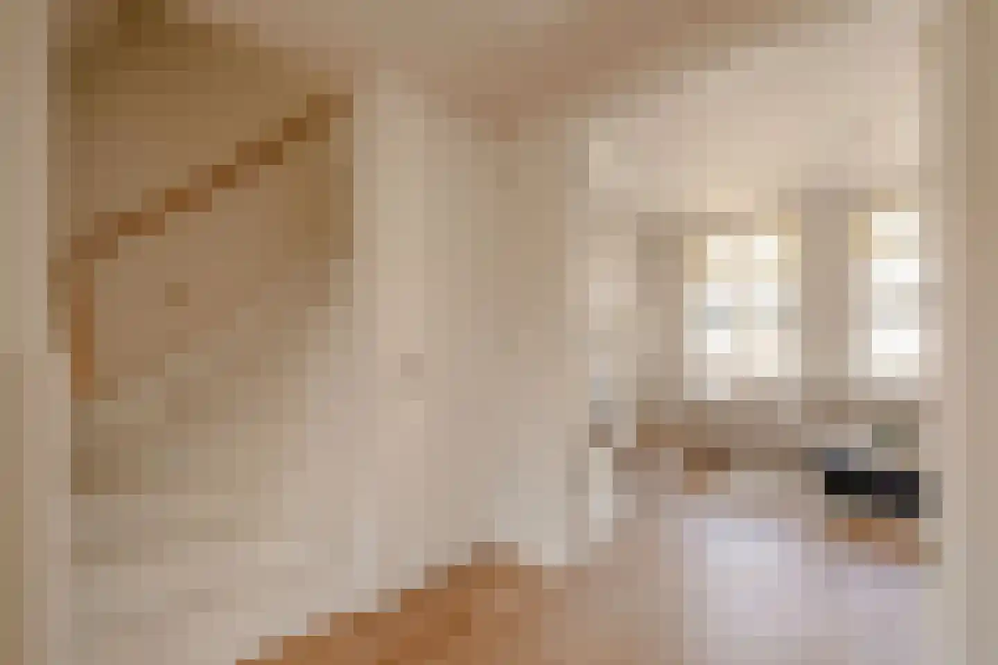 Eerste Jan Steenstraat 68 3 Amsterdam thumbnail 4