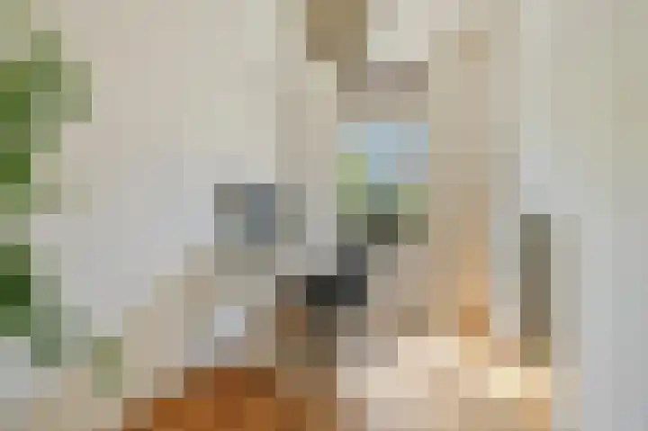 Eerste Jan Steenstraat 72 4 Amsterdam thumbnail 12