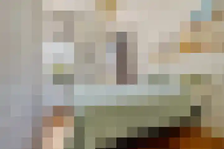 Eerste Jan Steenstraat 72 4 Amsterdam thumbnail 13