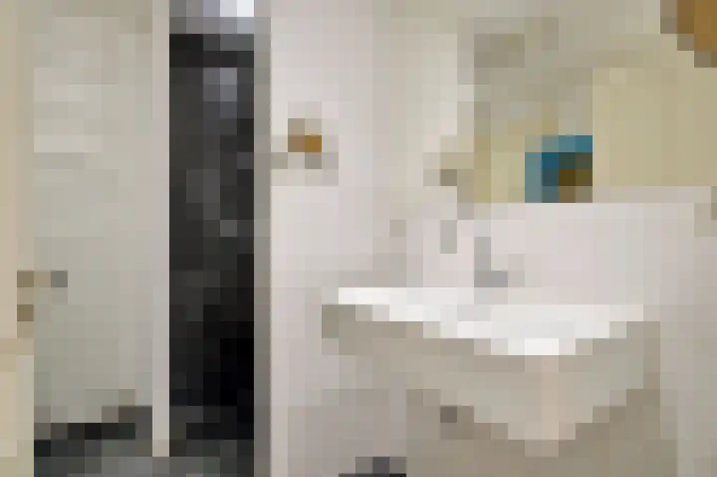 Eerste Jan Steenstraat 72 4 Amsterdam thumbnail 17