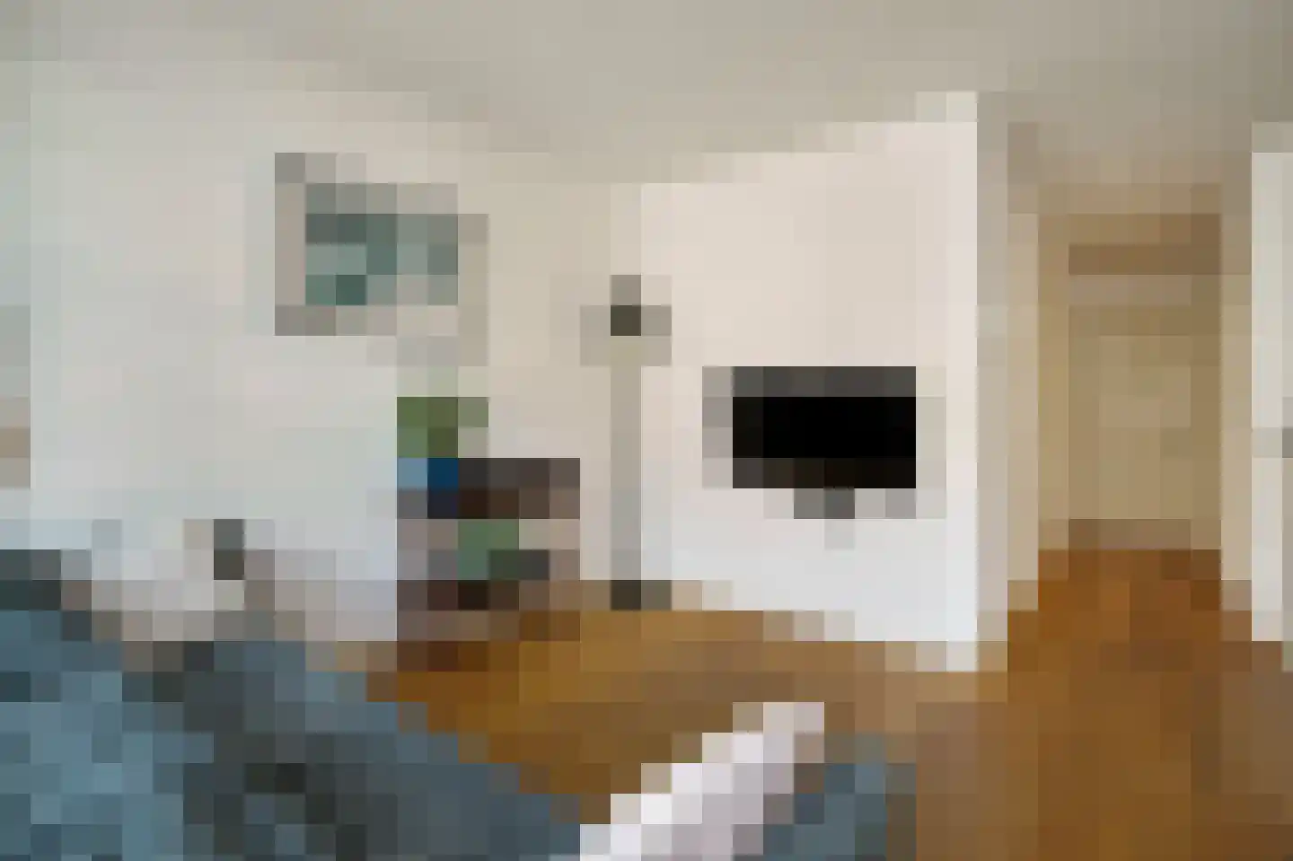 Eerste Jan Steenstraat 72 4 Amsterdam thumbnail 6